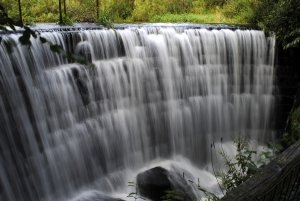 Water Cure